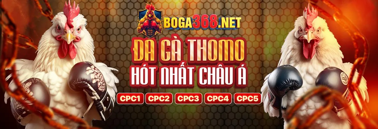 Hình ảnh chào mừng đăng ký tài khoản dola789 đá gà